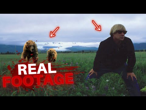 His Last Words: Timothy Treadwell's Final Message