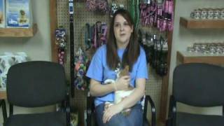 Haley Chester Success Story