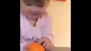 Ngakak kocak anak kecil bilabg jeruk mala jancuk