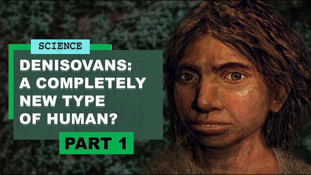 neanderthal-vs-denisovan