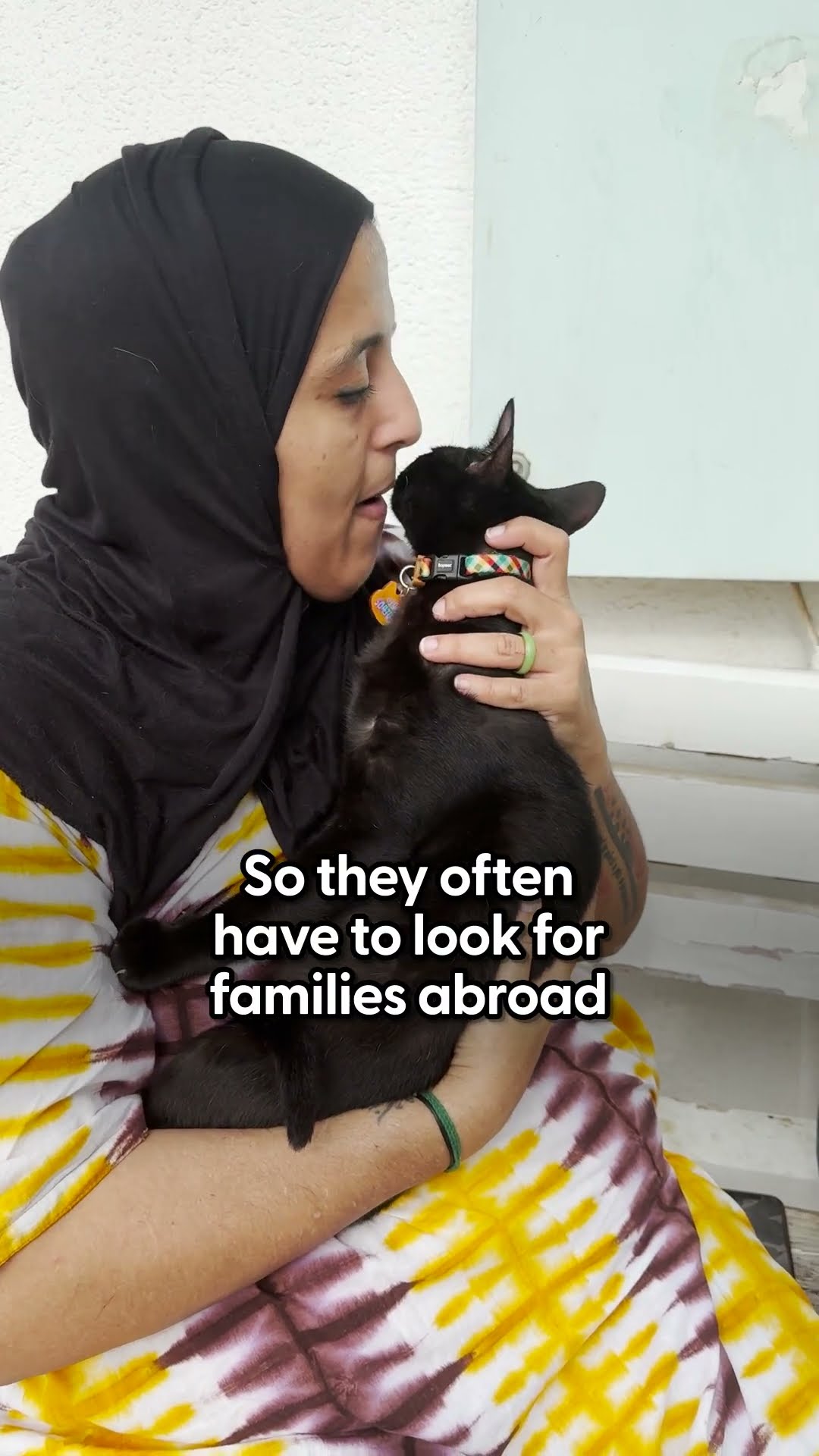 Sweetest Stray Cat Gets A New Lease On Life | The Dodo