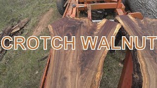 AMAZING SLABS OUT OF JUNK WALNUT LOGS AMAZING SLABS OUT OF JUNK WALNUT LOGS