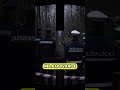 Scomparsa a Padova: si indaga per sequestro #cronaca #news #perte