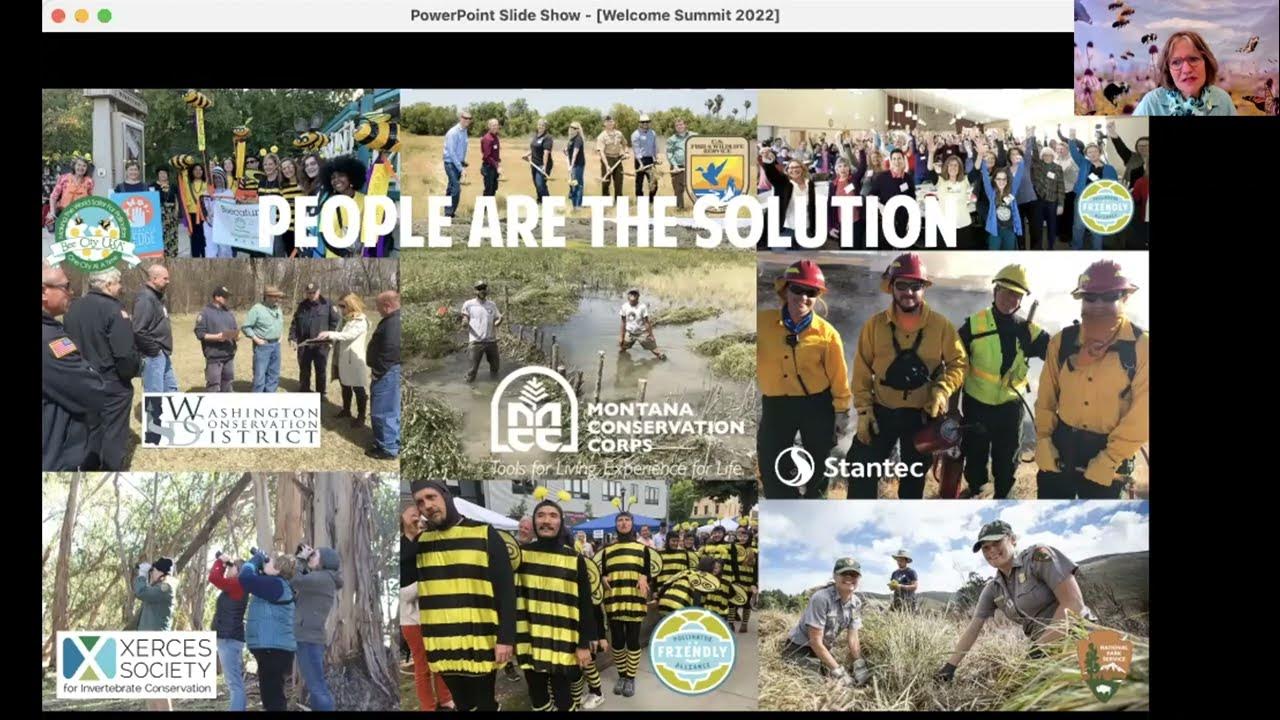 Best Practices for Pollinators Summit 2022 Introduction YouTube