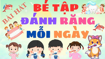 Bài Hát Đánh Răng Cho Bé – Vui Nhộn, Dễ Nhớ, Giúp Bé Yêu Thích Thói Quen Mỗi Ngày #baihatthieunhi