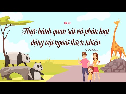 Video: Làm thế nào để điều trị chứng ngộ độc thịt ở vịt: 11 bước (có hình ảnh)