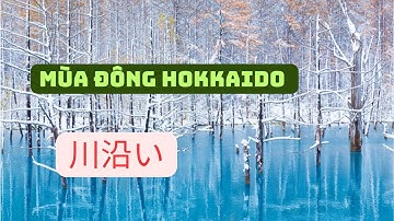 Trải nghiệm khu vực bờ sông thích hợp cho dã ngoại và câu cá#travel #cuocsongnhatban