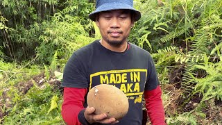 Iban Survival - Vlog aku ambil buah bambangan di kebun.