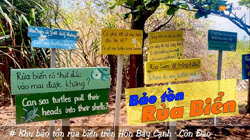 Khu bảo tồn rùa biển Côn Đảo | Hòn Bảy Cạnh | Hòn Cau | Côn Đảo | Vườn Quốc Gia Côn Đảo