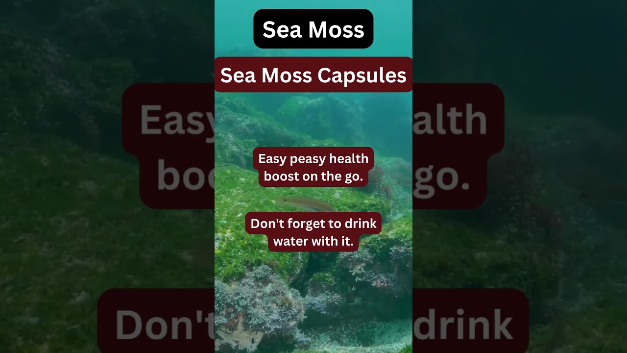 Sea Moss Capsules: The Game-Changer in Your Wellness Routine!