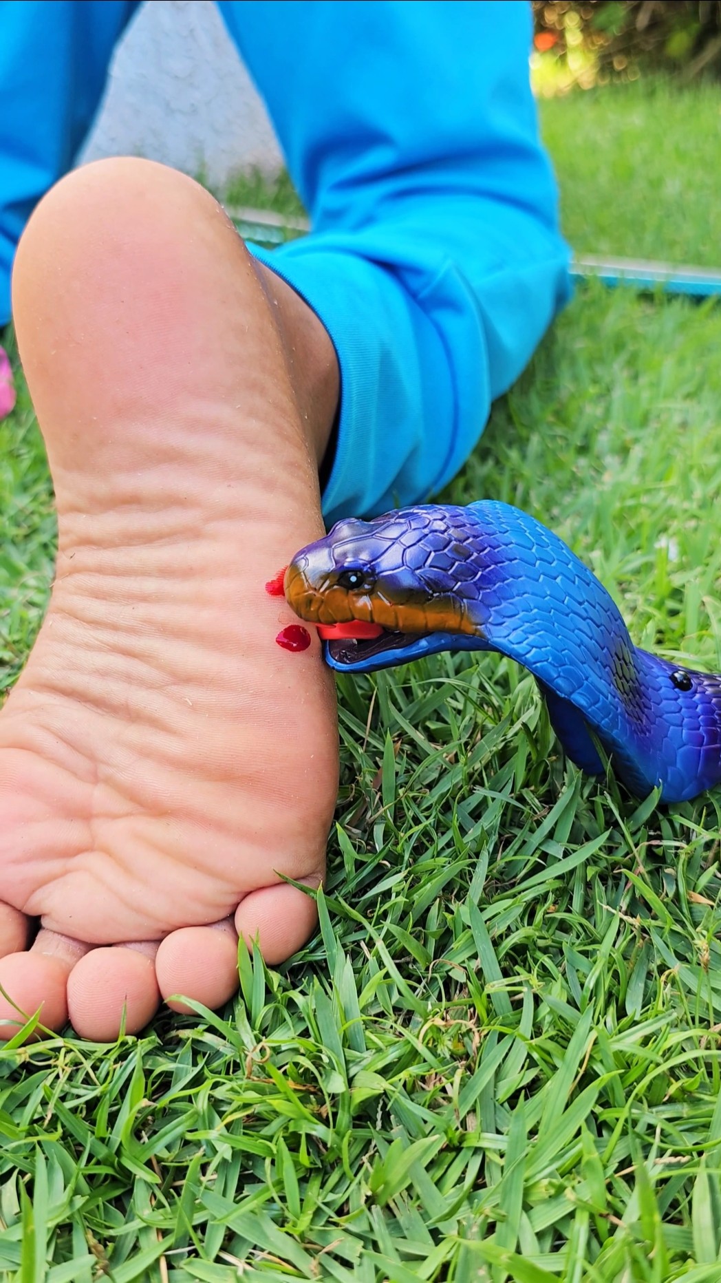 Blue Snake #funny #memes