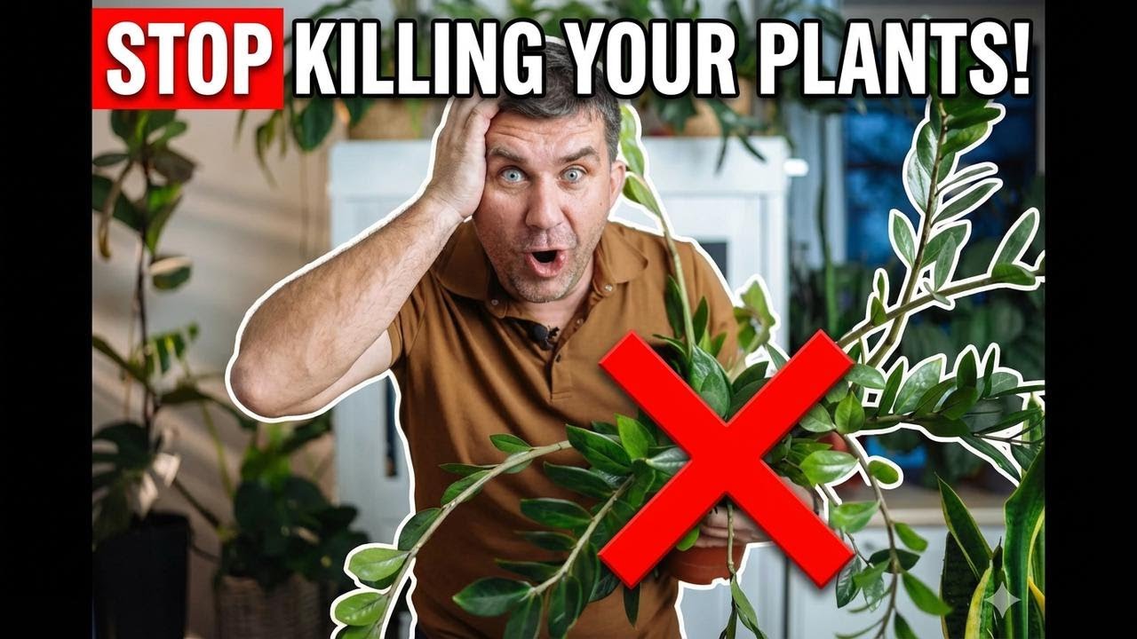 Stop Doing This to Your Plants! The Most Common Plant Care Mistakes