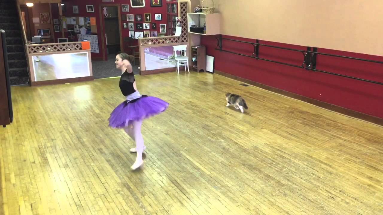 Nutcracker 2014 Kissing Doll YouTube