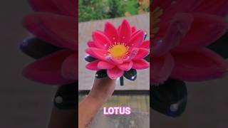 Download Lagu lotus #music #lotus #lotusflower #handmade #crochet #craft #ytshorts #shorts #fyp MP3