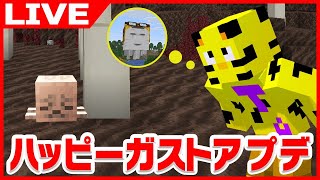【マイクラ】最新アプデすべて見つけるまで終われません！二次会ドズル社ぶっ飛びマリカ特訓。【たいたい】【帰宅部トリオ】
