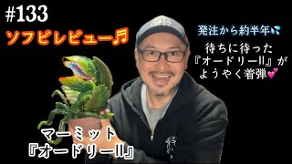 マーミット　オードリー mqdefault.jpg