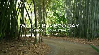 World Bamboo Day 2024