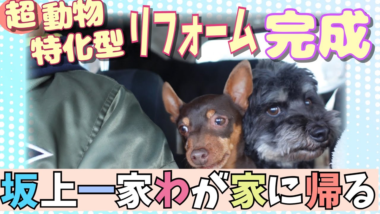 【坂上家】フルリフォーム完成！26兄弟わが家に帰る！新生活の始まり！