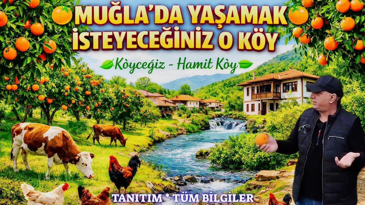 Köyceğiz Hamitköy 🌿 Portakal Bahçeleri & Namnam Çayı Kenarında Doğal Köy Hayatı