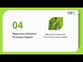 Arq. Verde PEPAC. Condicionalidade – Req. Legais de Gestão. Segur. Alimentar – Prod. Prim. Vegetal