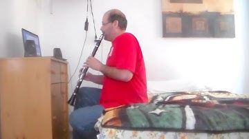 Miley Cyrus - Wrecking Ball  - Clarinet and Piano