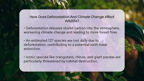 How Does Deforestation And Climate Change Affect Wildlife? - Ecosystem Essentials