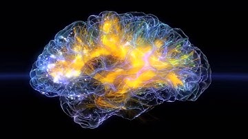 Glassbrain Flythrough 2015