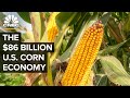 Why the us government is still obsessed with corn