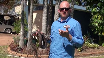 The Snake Catcher 24/7 - Sunshine Coast