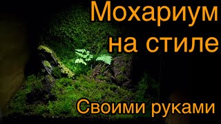 картинка: Как сделать стильный мохариум