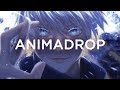 Animadrop  xchenda  go beyond