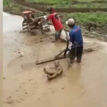 Bocah kecil tersert mesin traktor ketika membajak sawah.||lucu banget #shorts