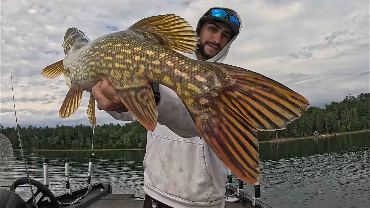 Hayward, Wi – (Big Pike) Multi-species ACTION