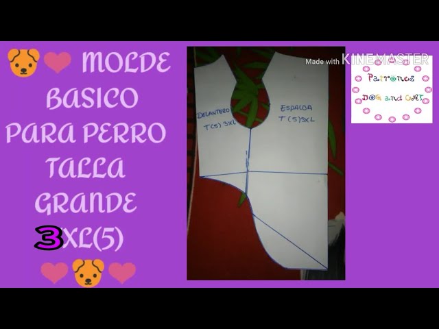 MOLDE BASICO PARA PERRO ? TALLA GRANDE 3XL O TALLA 5 SUPER FACIL ????❤  - YouTube