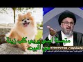 متصلة ابني مربي كلب الزينة في البيت ما حكم الصلاة سيد رشيد الحسيني فقه المصطفى 