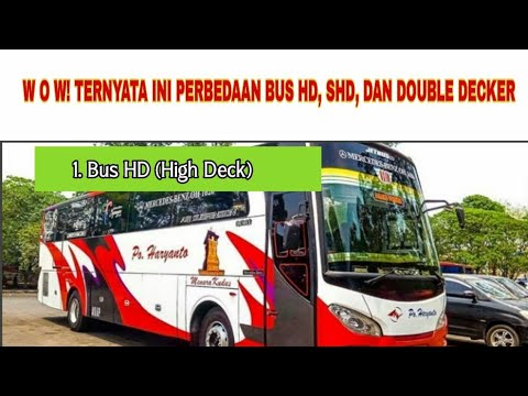 WOW TERNYATA INI PERBEDAAN  PERBEDAAN  BUS HD SHD DAN  