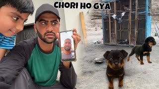 PRANK On Turab Rottweiler Chori Ho Gya screenshot 4