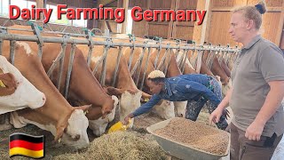 My New Life In Germany !! Modern Cattle Farming In Germany screenshot 3