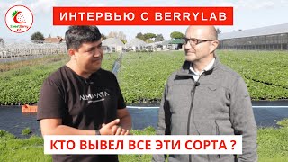 :   BerryLab.    , ,   .