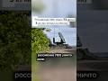 73 дрона сбиты — Москва под угрозой? #дроны #война #пво #россия #украина #москова #новости #shorts