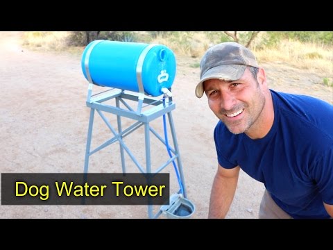 dog-water-tower---automatic-waterer-for-olive