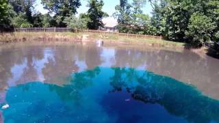 How to control pond algae with aquatic dye