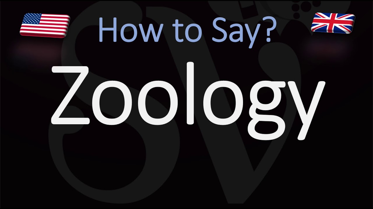 How To Pronounce Zoology? (Correctly) And Why!?