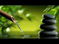 自然の音とともに音楽をリラックス バンブーウォーターファウンテン 【癒し音楽BGM】 Bamboo Water Fountain + Sleep, Relaxing Music, Spa Music