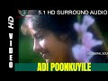 Adi Punguyile | Aranmanai Kili | Ilayaraja | 5.1 remastered audio