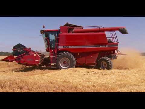 From the paddock to your brewery - video from Gladfield Malt