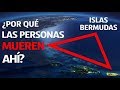 ¿Quién Vive En El Fondo Del Triángulo De Las Bermudas?