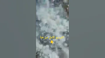 أحلى شعريه ومخروطه وقدوسيه أكلات بدويه وصعيديه 