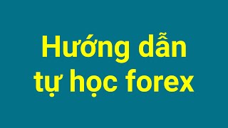 Forex | Hướng Dẫn Tự Học Forex Đúng Cách