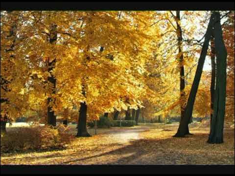 Розенбаум Осень YouTube